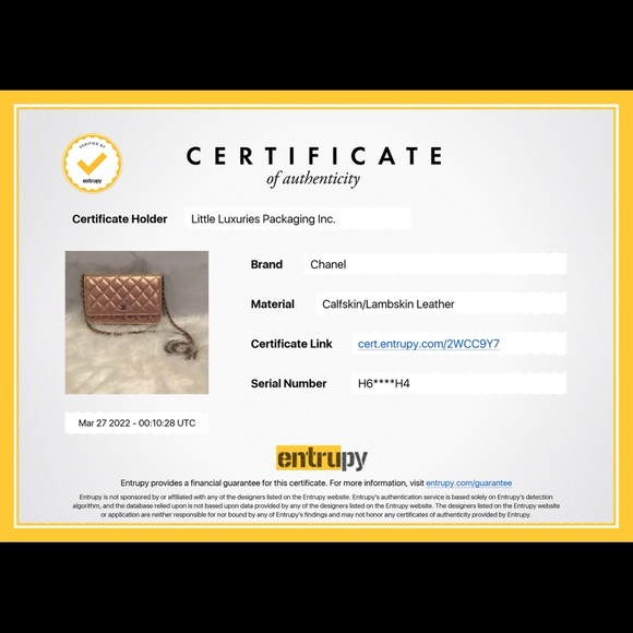 NWT 21K Chanel Iridescent Pink WOC Wallet On Chain - Picture 2 of 16